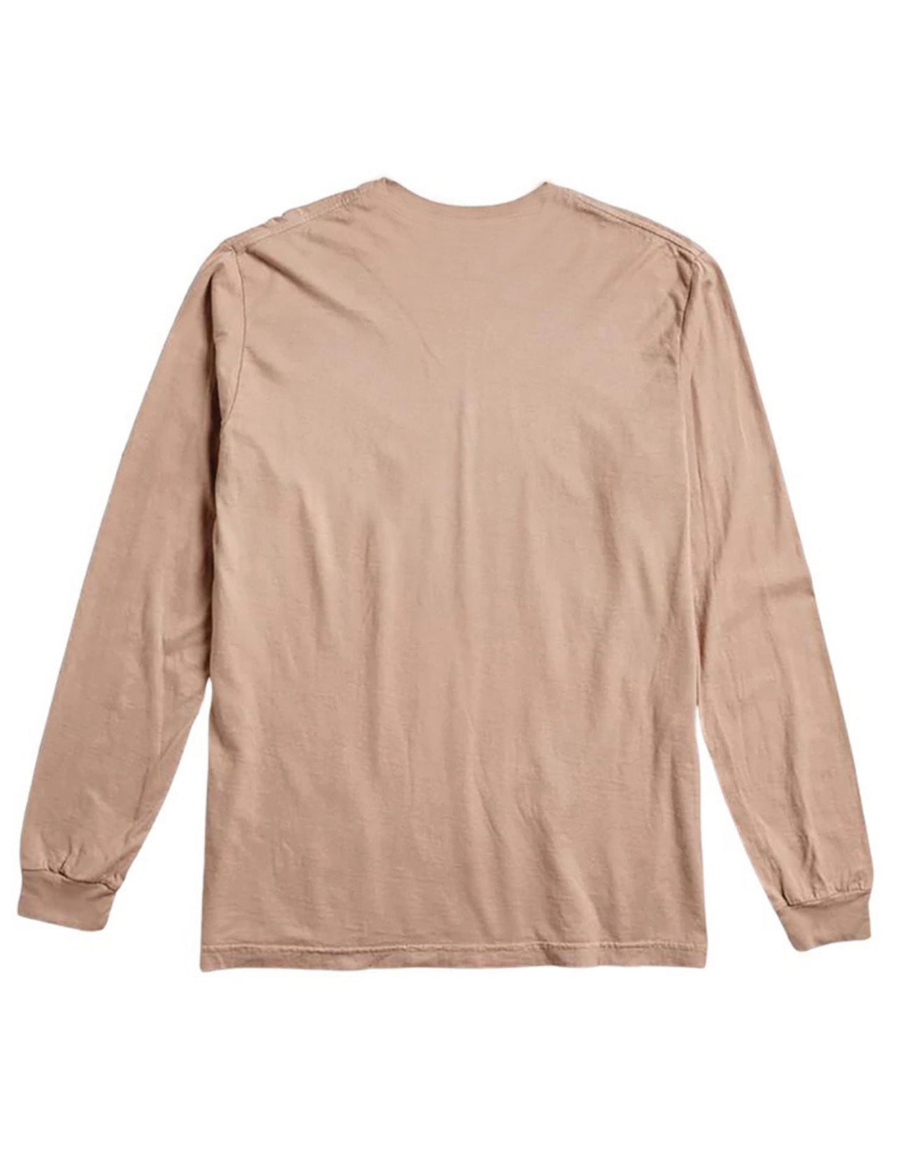 EYE SEE A SUCCULENT LONG SLEEVE TEE - CHAMPAGNE