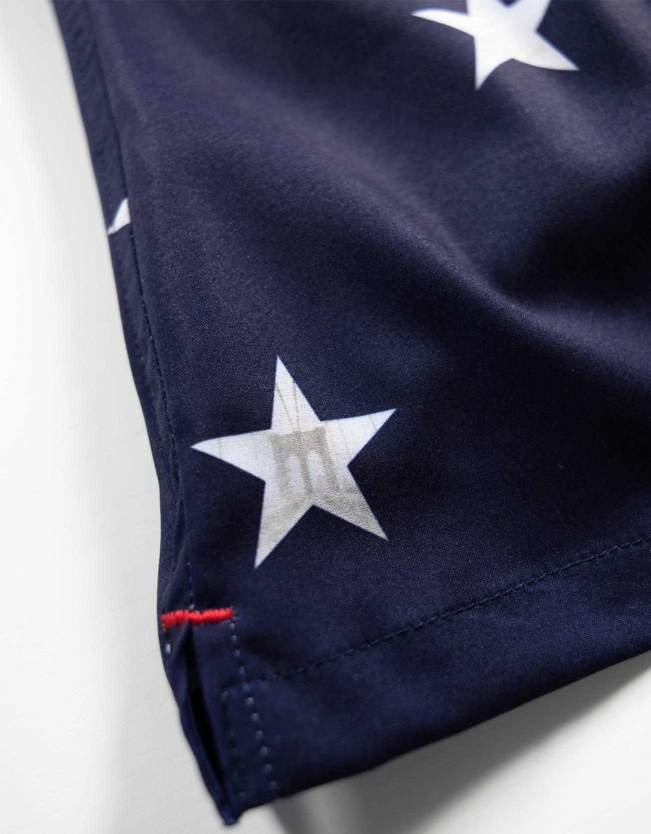 HOMAGE TO FREEDOM - STRETCH SWIMSUIT