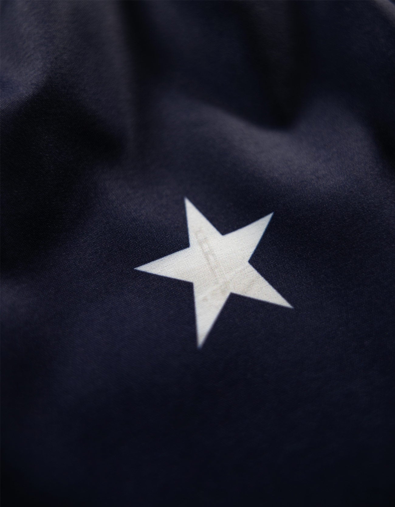 HOMAGE TO FREEDOM - STRETCH SWIMSUIT